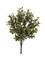 10" Boxwood Picks - Set of 24, Lifelike Artificial Stems, Perfect for Floral Arrangements, Home & Event Décor - Ideal for All Seasons, Floral Home by Artificial Flowers
